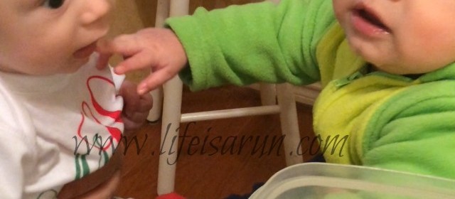 IMG_9716 (2)
